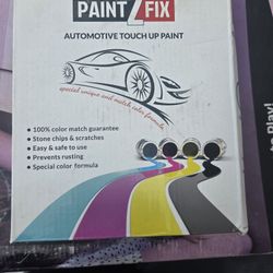 Paint 2 Fix Automotive Touch up Paint Kit