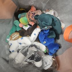 Sports Beanie Baby Lot 