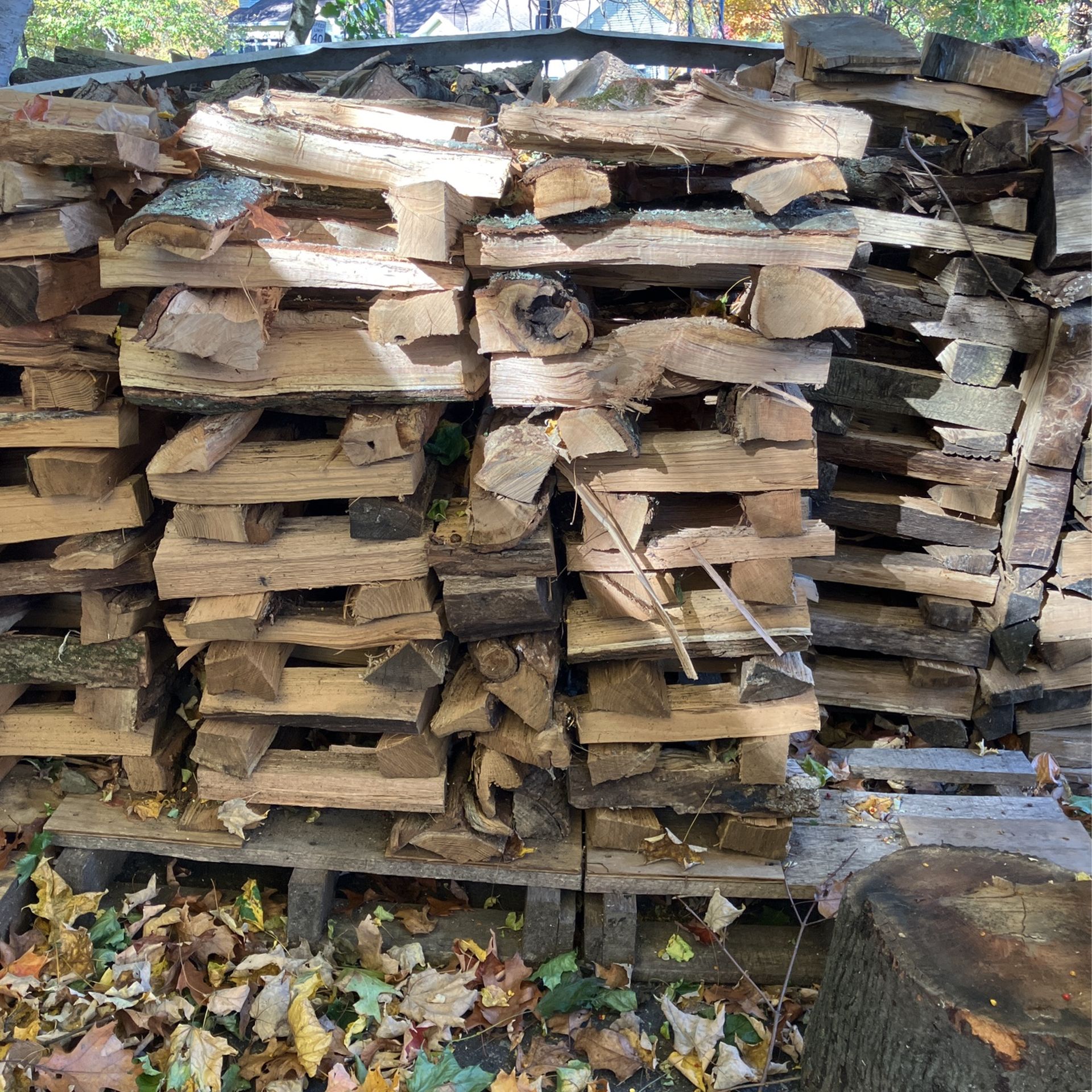 Firewood Stacks