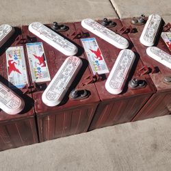 Trojan 12 Volt Golf Cart Batteries 