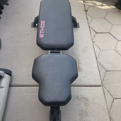 Ethos Workout Bench