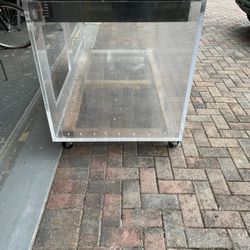 Lizard Cage