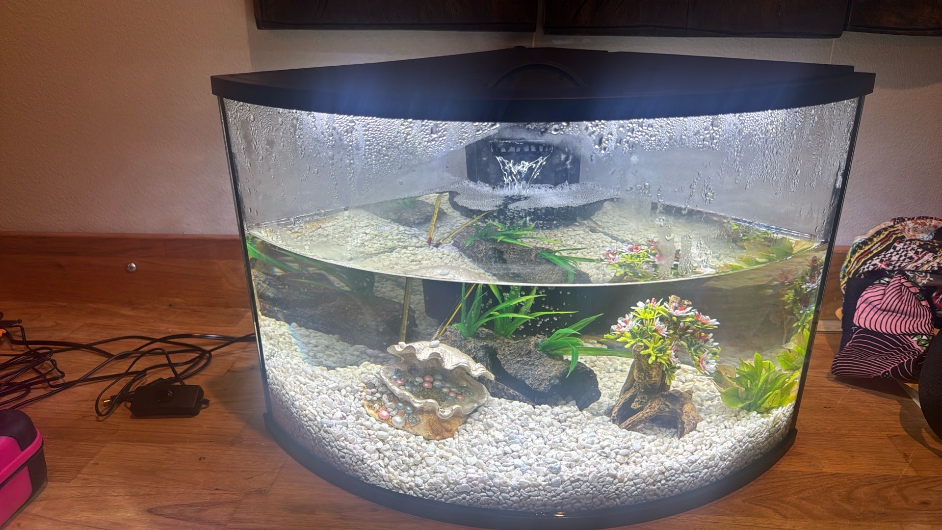 Fish Tank / Food / Set Up