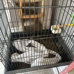 Bird Cage