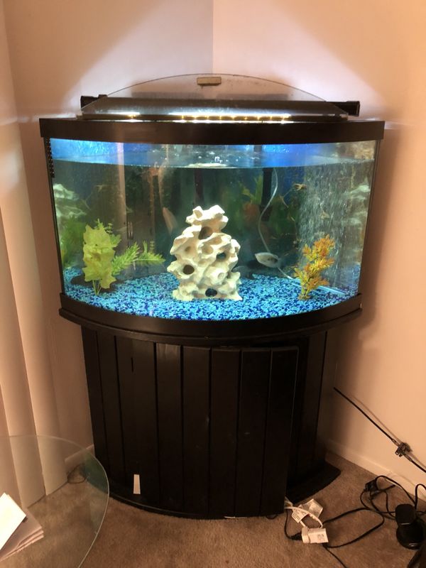 Corner Fish Tank For In Kissimmee Fl Offerup