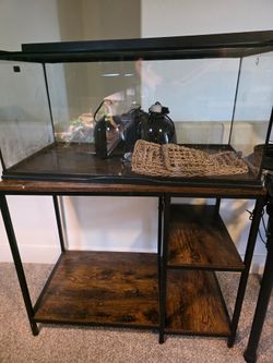 40 gallon terrarium +table