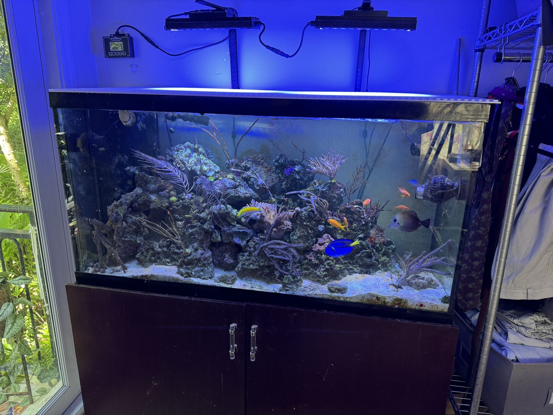 90 Gallon Saltwater Aquarium