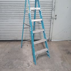 Ladder For $20