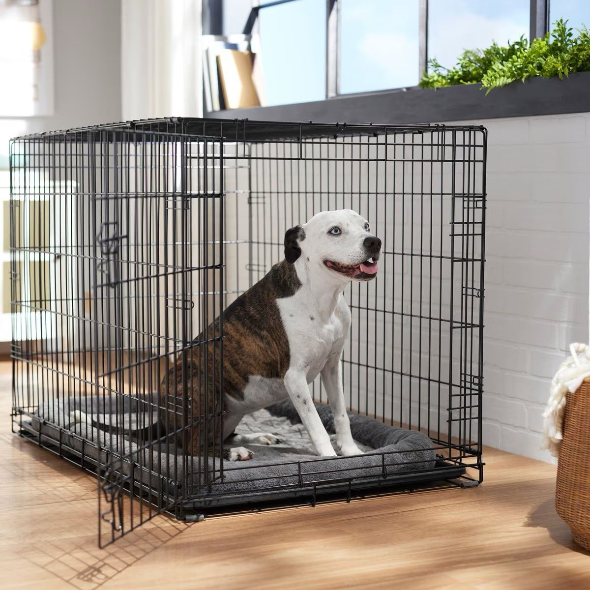 Large Dog Crate