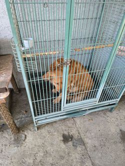 Cage