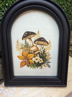 Mushroom picture brand new