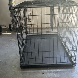 Kong Dog Cage