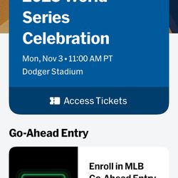 Dodgers Championship Rally Parking Ticket