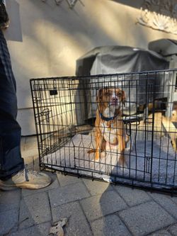 Large Dog Crate