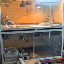 "Zen Habitats" Bearded Dragon Enclosure + Supplies