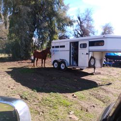 2000 Circle J 2 Horse Slant Load Trailer
