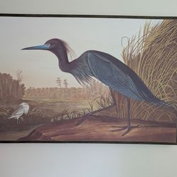 Blue heron printed canvas
