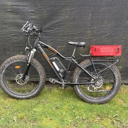 E-bike Rad Rover