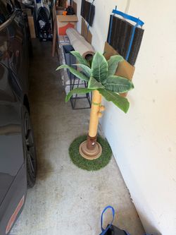 Used cat tree