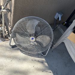 Fan