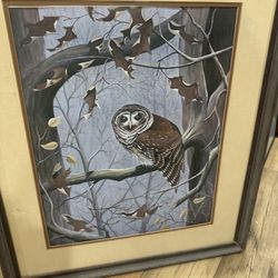 Don Edwards Collection