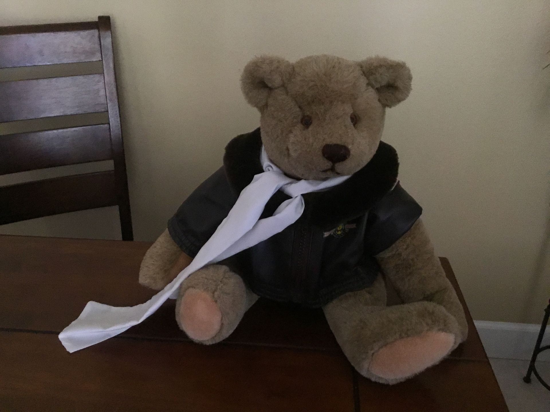 Gund Aviation Bear