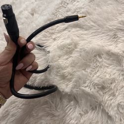 Microphone   Cable