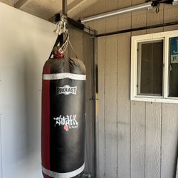 Boxing Bags With Stand 