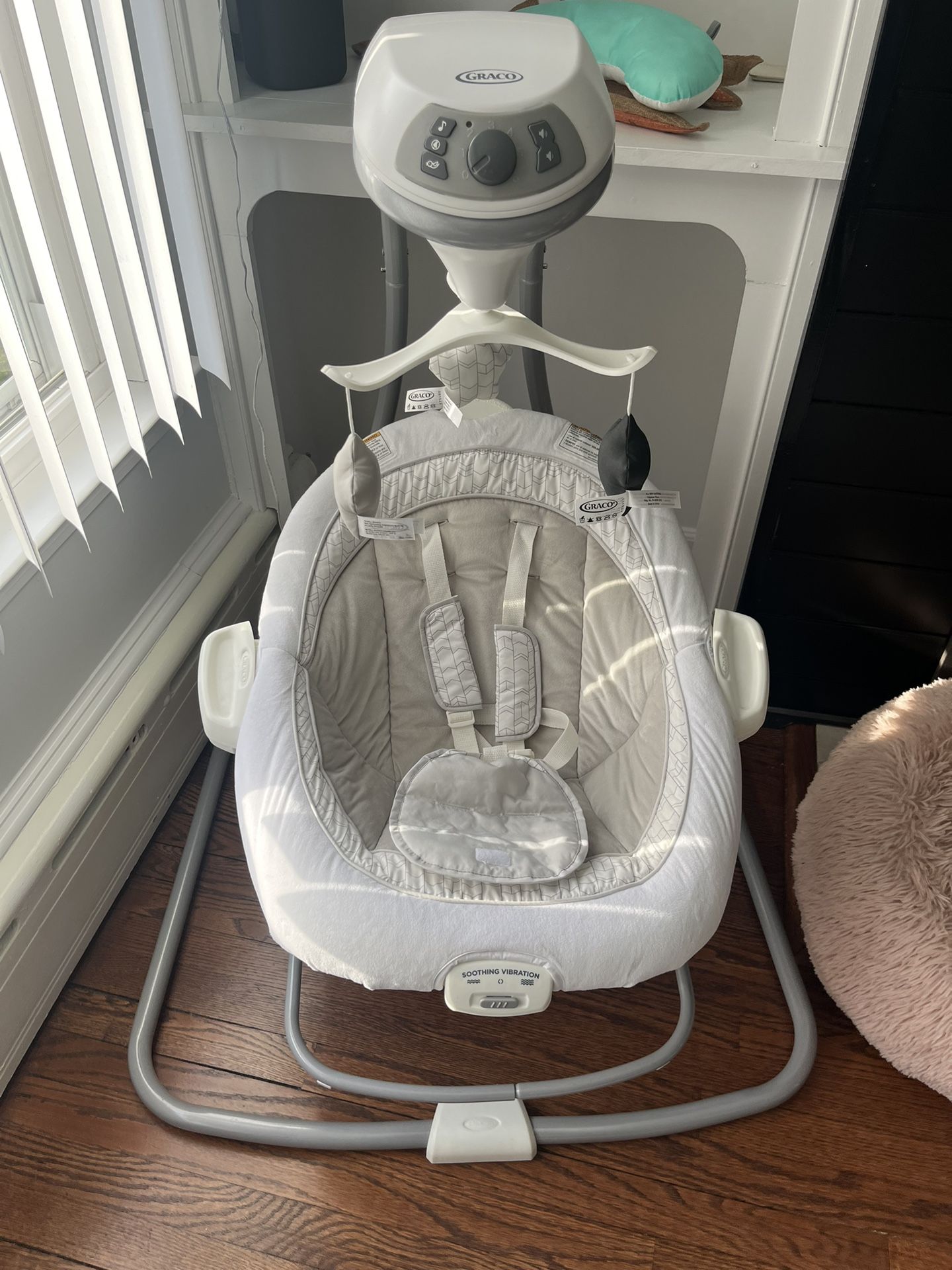 Graco Baby Swing And Bouncer