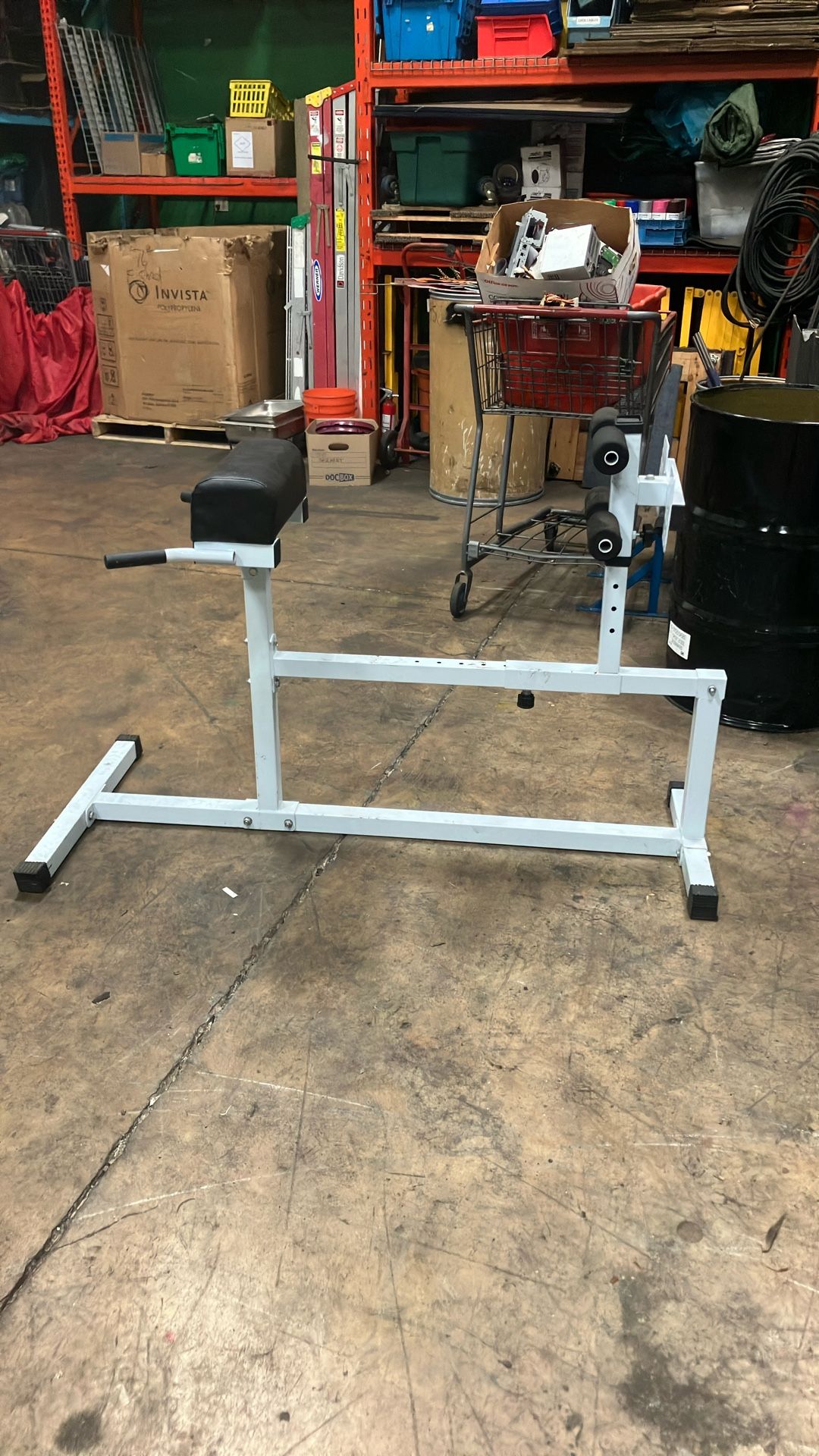 Back Extension Machine