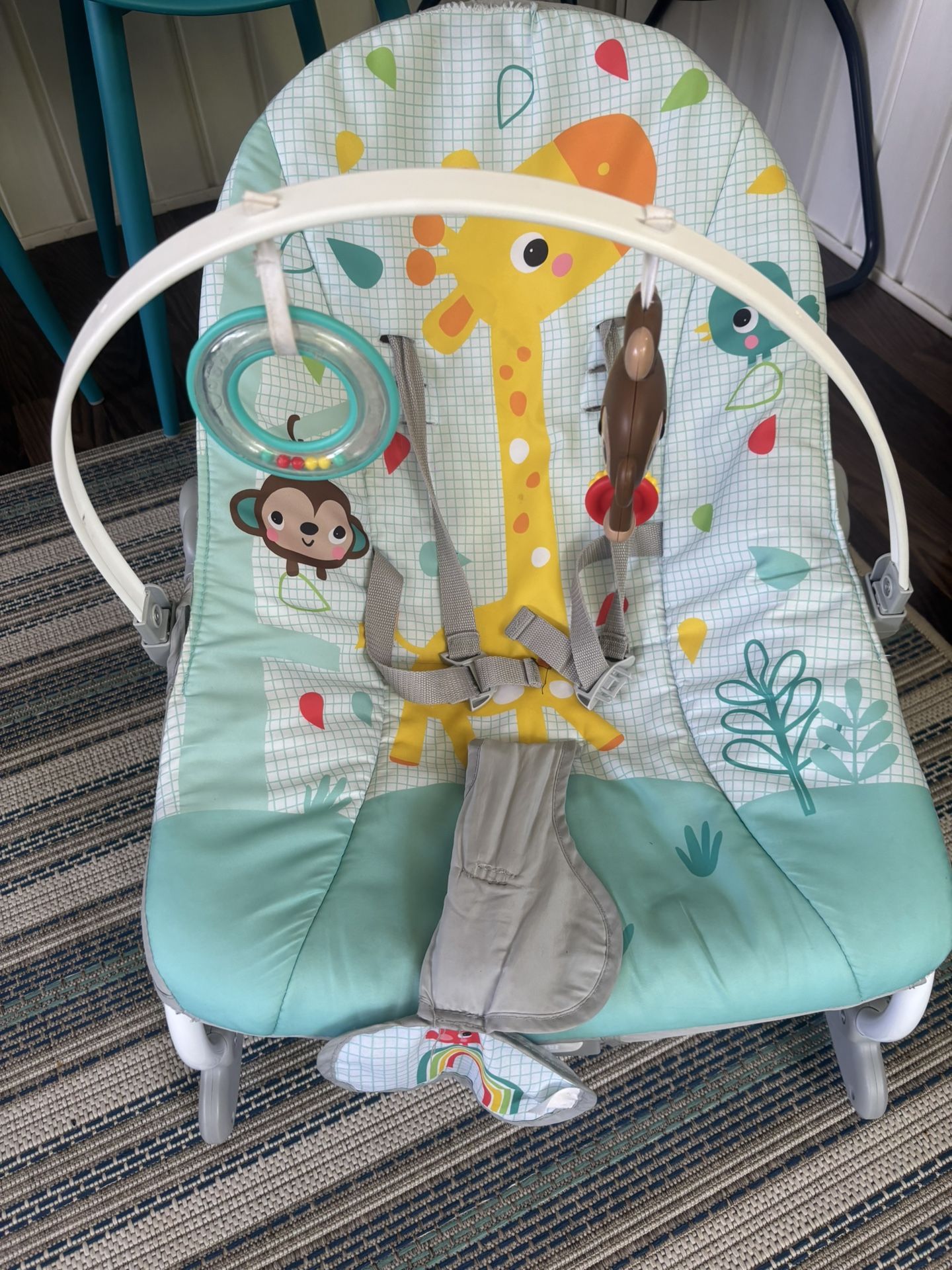 Baby Bounce Chair