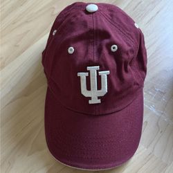 Indiana Hoosiers and Michigan State Spartan Baseball Caps