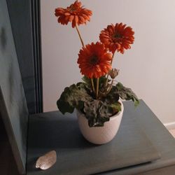  Bright Flowers In Nice Pot