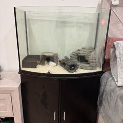 Leopard Gecko Aquarium 