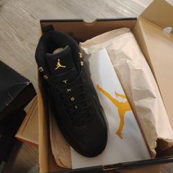 Air Jordan 12 Retro 