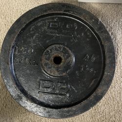 45lb Weight Plates (pair) , Standard 1” Hole