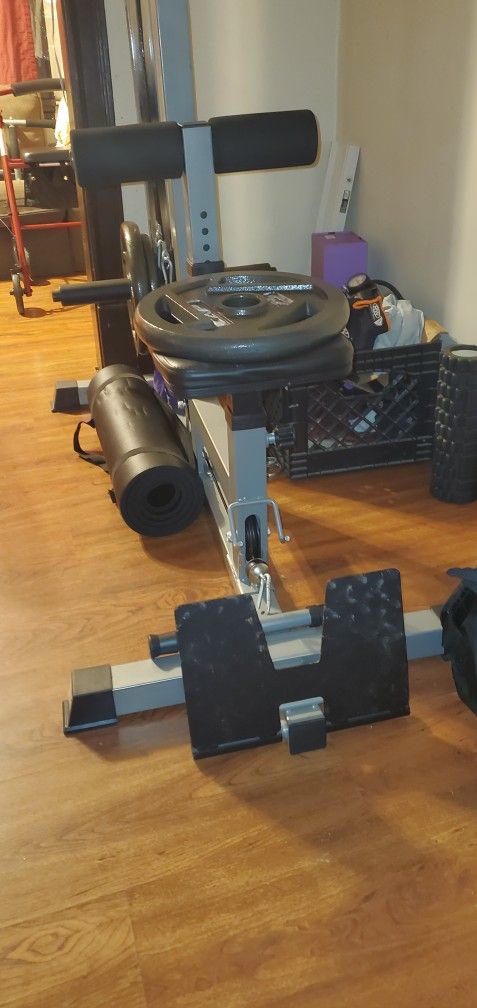 Lat Pulley System Practically New