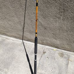 Fenwick Pacific Stik Deluxe Saltwater Spinning Rod for Sale in