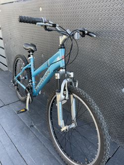 schwinn traverse 24