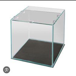 6 Gallon Frameless Cube Aquarium 