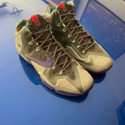 Lebron 11 Terracota Warrior Men’s Sz 10