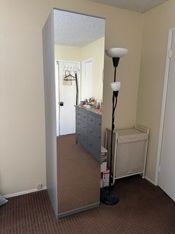 IKEA PAX Dark Grey with Mirror Door and Inserts