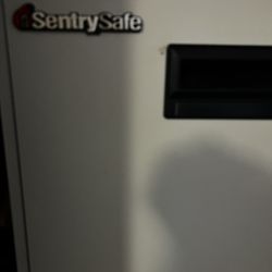 Sentry®Safe FIRE-SAFE® 4-Drawer Vertical File Cabinet, 53 5/8"H x 19 5/8"W x 31"D, Putty