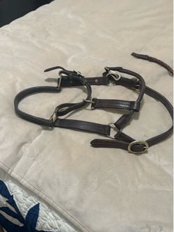 Vintage horse tack