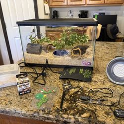Reptile Habitat With Accessories 