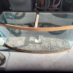 Glass Aquarium & Stand