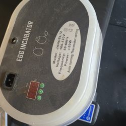Egg Incubator Free