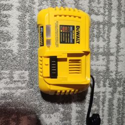 Dewalt Dcb118 New Open Box