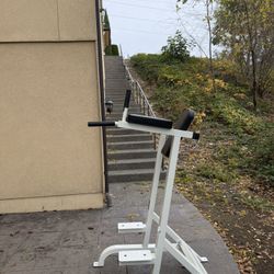 Dip/Hanging Leg Raise Stand