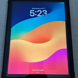 iPad 9th Generation 256GB / Unicorn Beetle Protective Case with screen protector and stand.